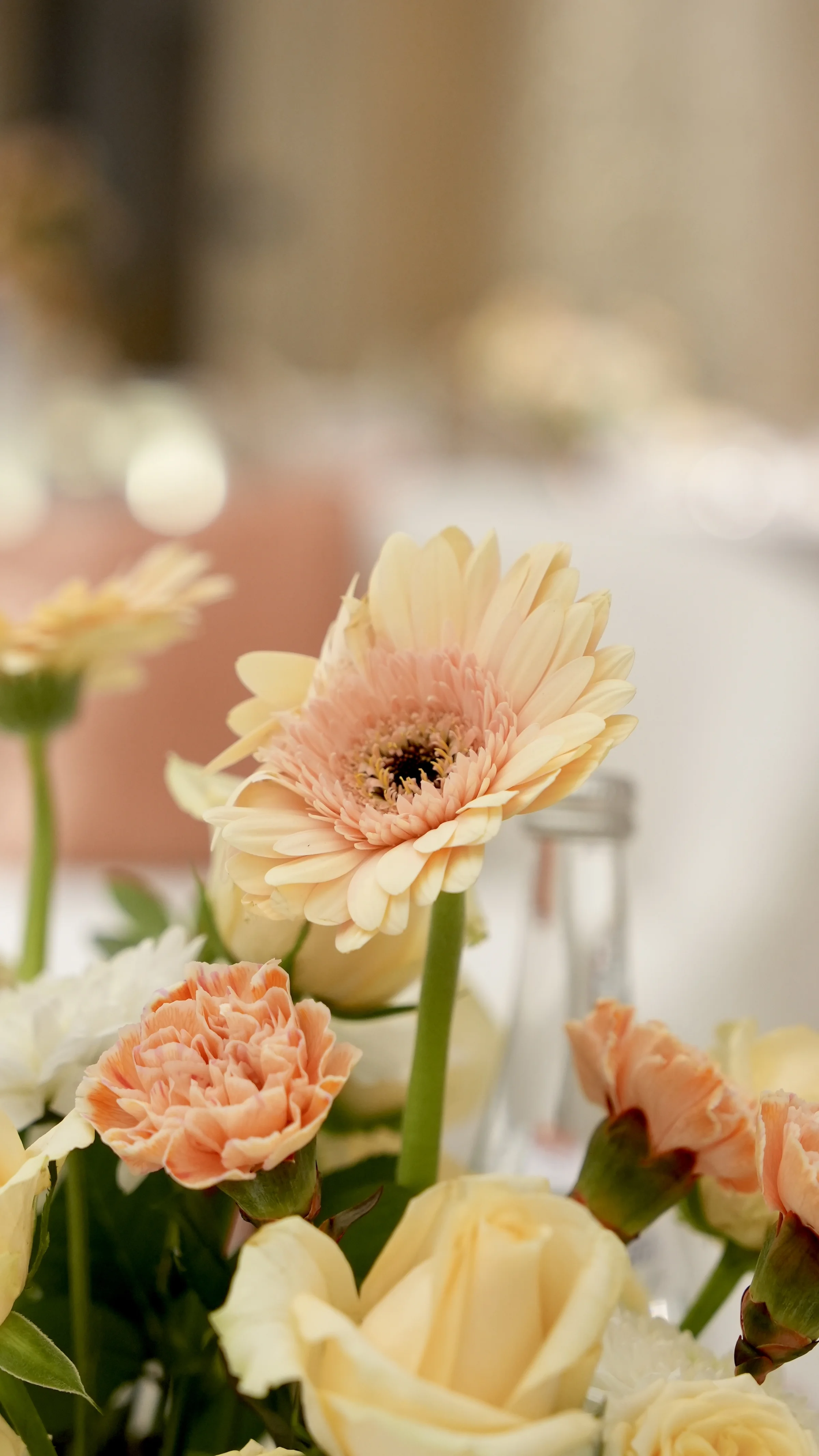 Wedding planners in qatar stage backdrop and lighting in Doha